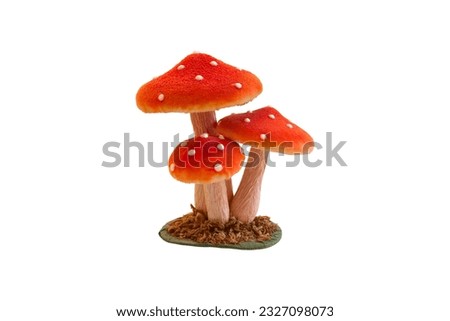 White background isolated photograph of a red poisonous mushroom.