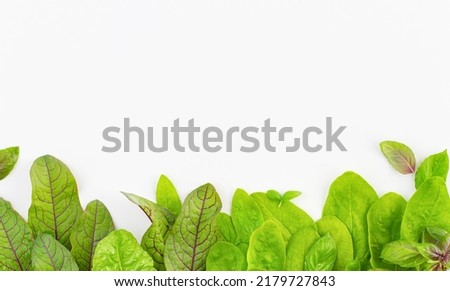 White background with leafy vegetables along the bottom edge, copy space