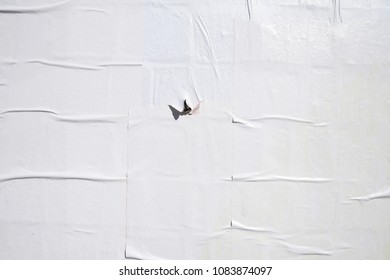 White Poster wrinkled grunge Background Texture 