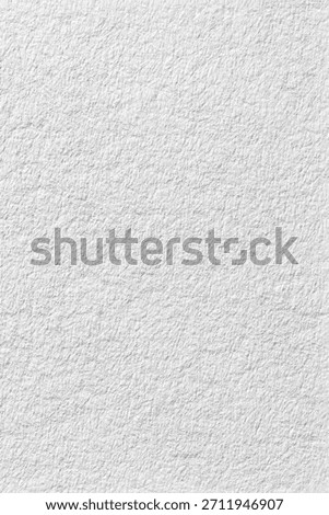White background texture wall. abstract shape  and have copy space for text.