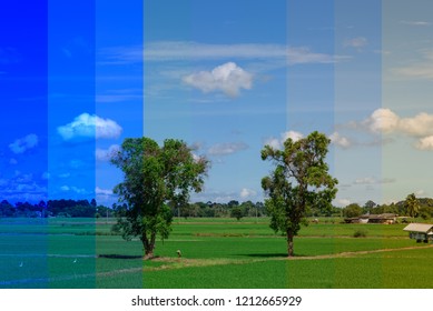 White Balance Changes Of Field Views