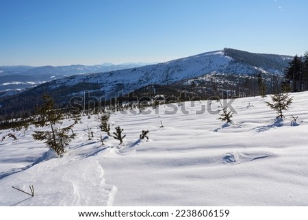 White Barania Gora peak, 1,220 metres at Silesian Beskid on european Bialy Krzyz in Poland, clear blue sky in 2022 sunny winter day on February.