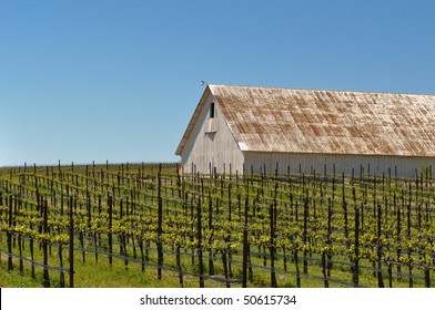 1000 Vineyard Barn Stock Images Photos Vectors Shutterstock