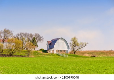 White Barn And Green Pasture On Farm In Rural Western Wisconsin In Spring.