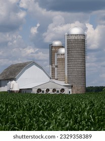 A white barn next to multiple large silos and a side building with several fans in the walls with lush green crops in the foreground