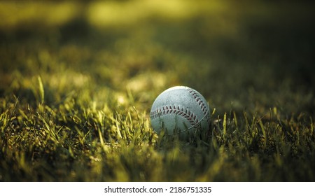 A White Baseball Ball On A Green Lawn, Photo In Vintage Style. The History Of The Baseball Team.Horizontal Photo With A Ball On The Grass.