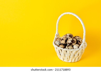 White basket full of quail eggs and feather on bright yellow paper background with copy space, empty place for text. Easter holiday. Greeting card. Religious mockup design. Healthy food. Farm product.