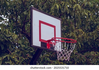 White Basketball Shield With A Red Ring In The Backyard. Home Yard With Basketball Court. A Local Basketball Shooting Target Is Made From A Wooden Board. Sport Activity Equipment Object.