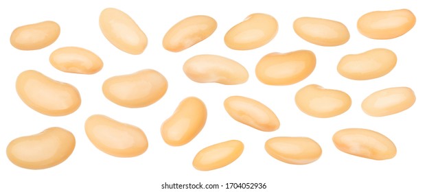 White Beans Isolated On White Background