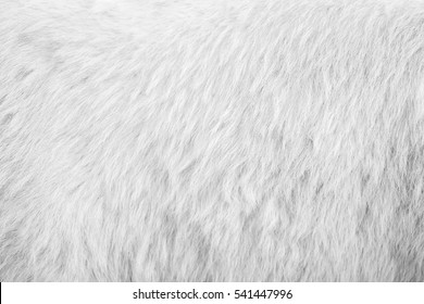 White Bear Hair Texture Background. Line Wool Gray Floor With Top Light. Art Brown Sepia Vintage Backdrop. Seamless Pattern.