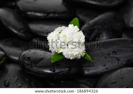 White beautiful flower and black stones background