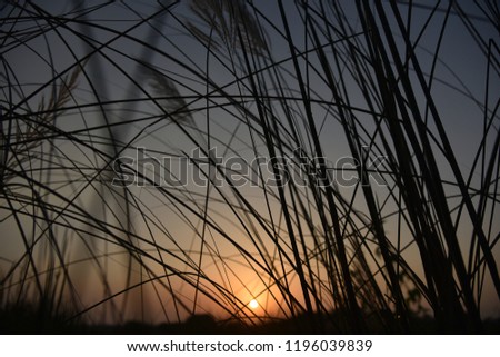 Similar – Foto Bild Weststrand Umwelt Natur