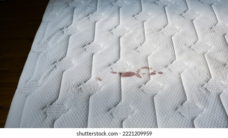 White Bed With Menstrual Blood Stain