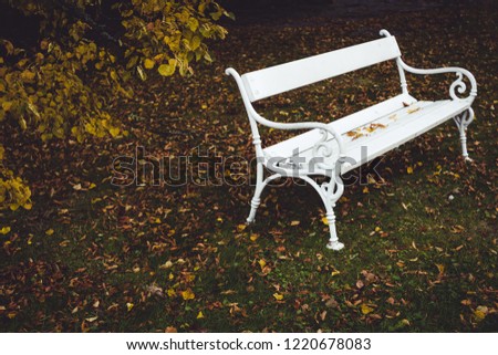 Similar – Image, Stock Photo autumn whisper Garden