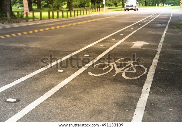 White bicycle sign on asphalt bike lane\
on city park with car in background. Concept background for Air\
Pollution Reduce and Cycling Health\
Benefits.