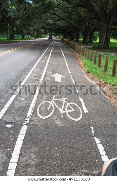 White bicycle sign on\
asphalt bike lane on city park with rows of oak trees in\
background. Concept background for Air Pollution Reduce and Cycling\
Health Benefits.