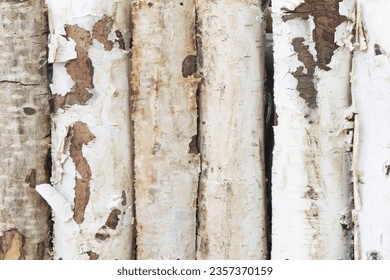White birch bark texture. Closeup tree skin background. Natural tree bark pattern. Birch bark is used as fire starter in survival. Birch fence branch texture. - Powered by Shutterstock