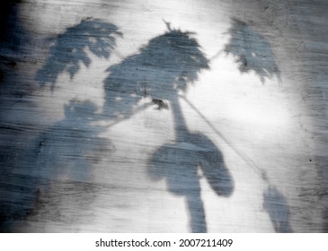 Papaya Black And White Images Stock Photos Vectors Shutterstock