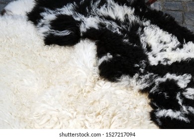 White and black sheep wool closeup