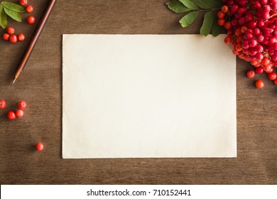 White Blank Autumn Greeting Card With Fresh Rowan Berries On The Brown Wooden Table. Medical Recipe. Empty Place For A Text. Top View.