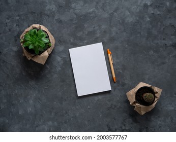 White blank notebook mockup dark background flat lay. Minimal work space sketchbook template, eco paper pen, green plant top view. Back to school banner, stationery, office tools education learning - Powered by Shutterstock