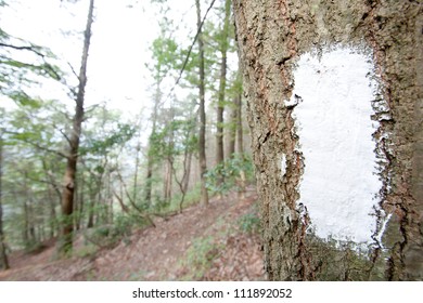 White Blaze On The Appalachian Trail. Pennsylvania