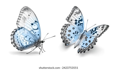 Mariposas blancas y azules