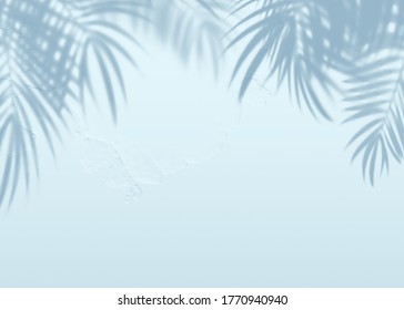 White blue grunge cement texture wall leaf plant shadow background.Summer tropical travel beach with minimal clean concept. Flat lay palm nature. 库存照片