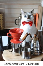 White blue-eyed cat barista in a red bow tie. Alternative coffee brewing. Pack with empty label, space for design
