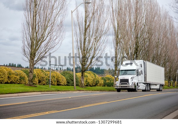 White\
bonnet commercial big rig semi truck with refrigerated semi trailer\
transporting frozen food cargo driving on the road with trees and\
bushes for timely delivery goods to warehouse\
