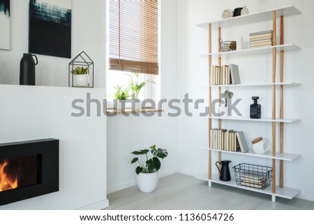 White Bookcase Fireplace Window Plants Modern Stockfoto