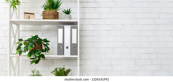White bookshelf with plants and folders over white wall, empty space