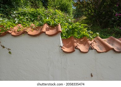 White Brick Wall By A Narrow Uphill Path.