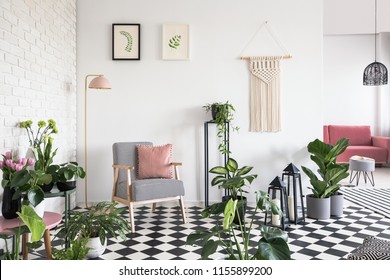 White, Brick Wall And Pink Pillow On An Armchair With Houndstooth Pattern In Open Space Living Room Interior With Lots Of Plants. Real Photo