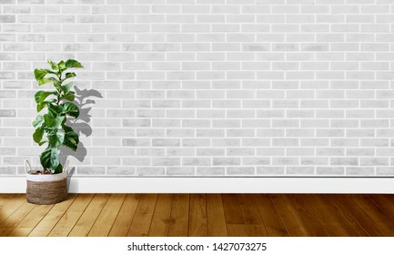 White brick walls with wooden floors and tree with natural light For background photography - Shutterstock ID 1427073275