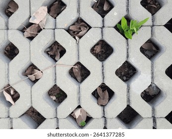 White bricks arranged in a walkway with triangular gaps between them, forming a unique geometric pattern.