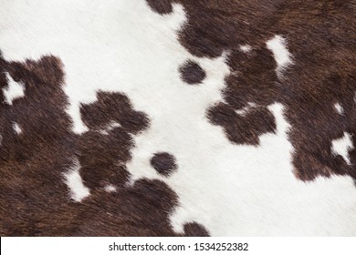 White And Brown Cowhide Texture.