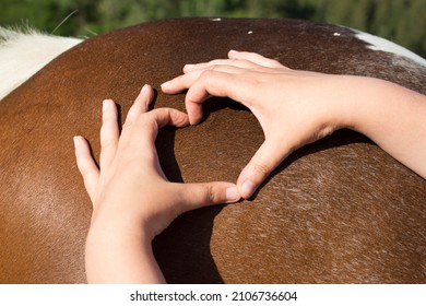 white and brown tinker horse back with heart made of human hands horse love