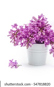 White bucket with lilac on a background