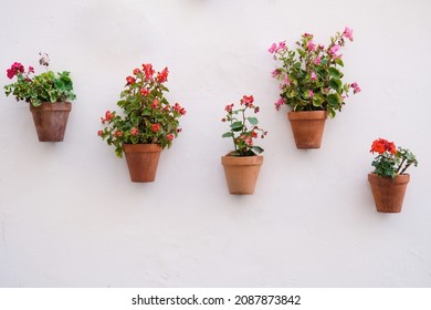 White building wall with decorative hanging flower pots with red geranium flowers in Seville, Spain