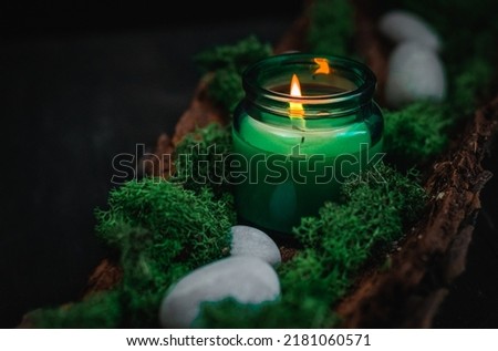 A white burning candle in a glass jar with green moss and gray stones in the bark of a tree lie on a black background, close-up side view. Esoteric concept, dark style.