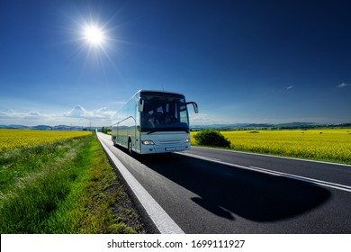 White Bus Driving On The Asphalt Road Between The Yellow Flowering Rapeseed Fields Under Radiant Sun In The Rural Landscape