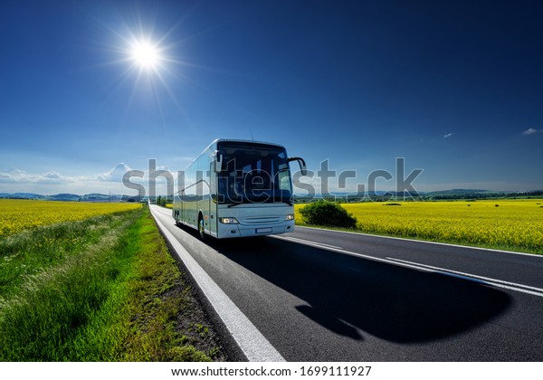 White bus driving on the asphalt road between\
the yellow flowering rapeseed fields under radiant sun in the rural\
landscape