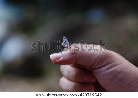 White Butterfly on the Thumb
