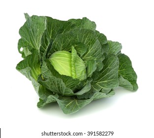 White Cabbage On White. Isolated.