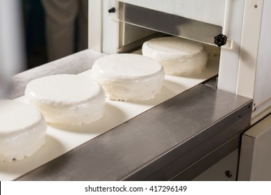 White Cakes On Conveyor. Conveyor Belt With Blank Cakes. Light Color And Refined Taste. High Standards Of Quality.