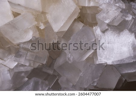 White calcite cubic crystals with sharp edges and brilliant natural beauty.