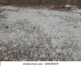 White Calcium Oxide Powder On Soil Ground.  Farmers Use White Calcium Powder To Solve Soil Problems.