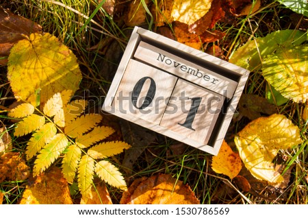 White calendar block present 1 and month of November on a background of grass autumn leaves Photo stock © 