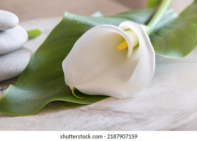 White Calla Flower With Green Leaves And Sea Stones In Balance, Beauty Spa And Aroma Concept, Space For Text, Selective Focus